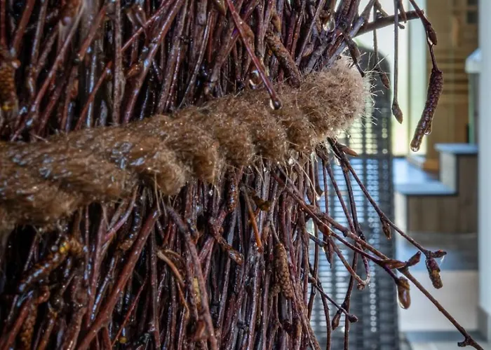 Invest Belle View 117 Apartment *